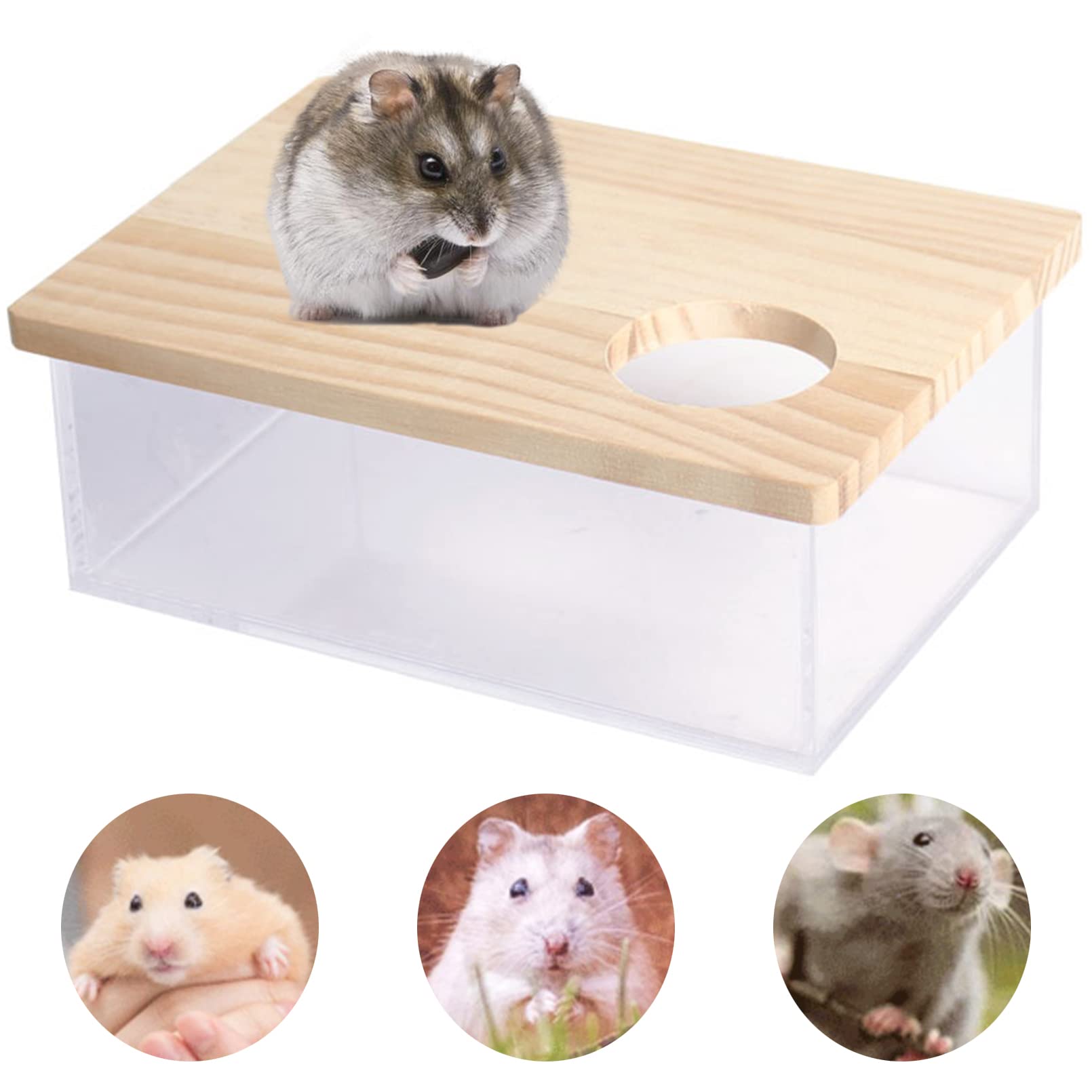 PIVBY Hamster Sand Bath Shower Box Dwarf Chinchilla Sauna Room Acrylic Digging Sand Container Small Animals Bathroom Toilet for Gerbil Hedgehog Squirrel