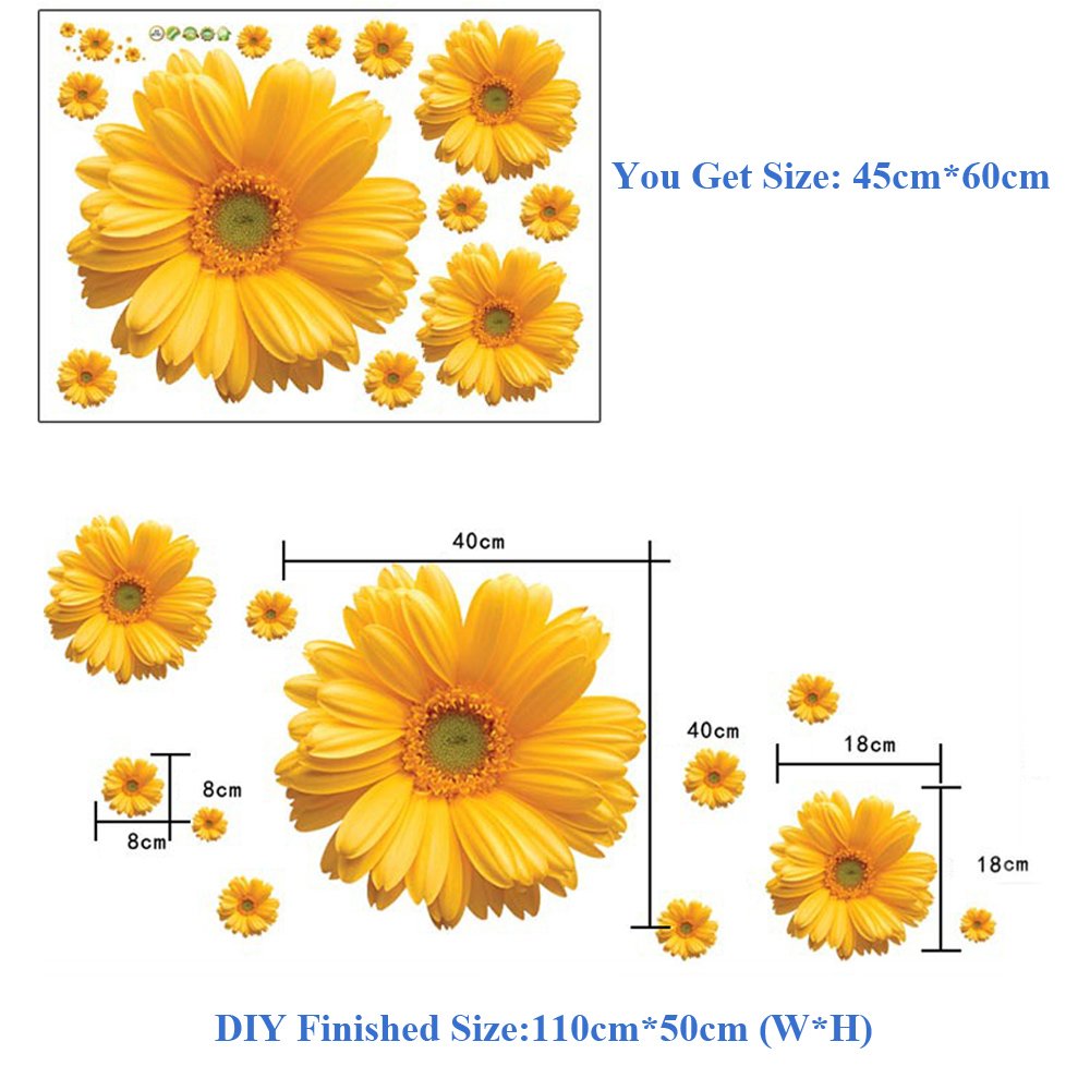 Daisy flower creative writing picture