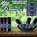 100% Pure - Excellent Gift set of Essential Oils (Pack of 6) for daily and travel use. Therapeutic Grade of 10 ml - Lavender, Tea Tree, Eucalyptus, Peppermint, Lemongrass, Sweet Orange