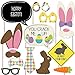 Big Dot of Happiness Hippity Hoppity - Easter Party Photo Booth Props Kit - 20 Count