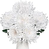 Hollyone 6Pcs Cream White Artificial Mums Flowers Large Chrysanthemum Flowers Silk Flower 25.6" Long Stem Faux Spider Mum Flower Spring Summer Floral Arrangements Bouquets Fake Pincushion Home Decor