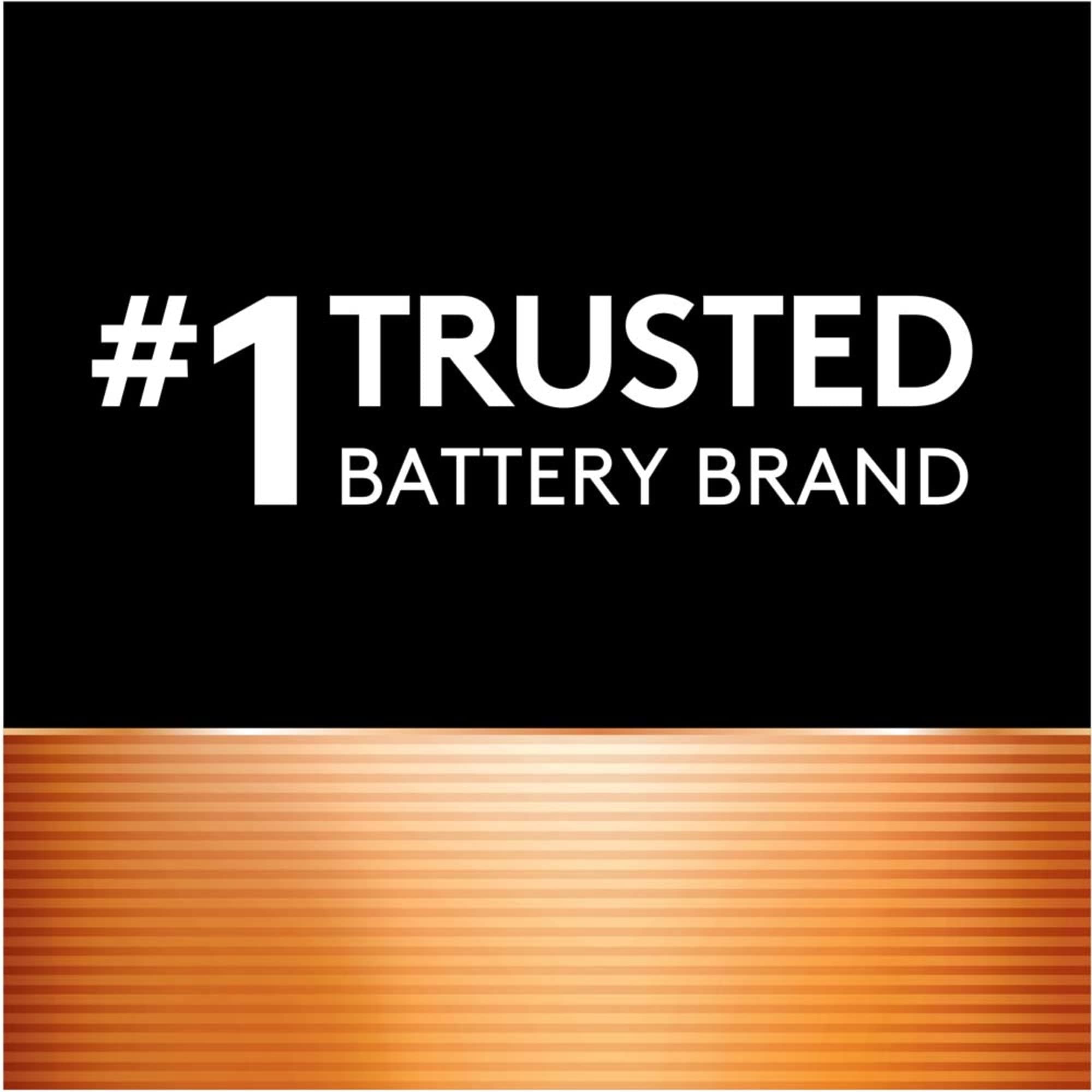 Duracell Rechargeable AAA Batteries 4 Count, Long-lasting Power, All-Purpose Pre-Charged NiMH Triple A Battery for Household and Gaming Devices