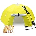 KHEARPSL Large Chick Brooder Heating Plate Chick Brooder Box 21.6" Heat up to 50 Chicks, Chick Warmer Chicken Coop Heater Poultry Brooder for Chick Duckling Quail Goose Bird Hatchling