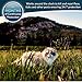 Premium Care Flea And Tick Collar For Cats | Prevents And Removes Fleas, Ticks, Lice And Mosquitos In 24 Hours | 8 Months Protection | 100% Natural Essential Oil Flea And Tick Prevention For Cats