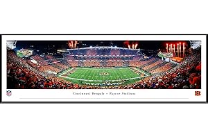 BLAKEWAY WORLDWIDE PANORAMAS, INC. Cincinnati Bengals, Stripe - 40.25x13.75-inch Standard Framed Print by Blakeway Panoramas