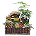 Whonline 150 Pcs Miniature Fairy Garden Decoration with 1pcs Tweezer Tool + 1 Bag of Pins + 1 Hot Glue Stick