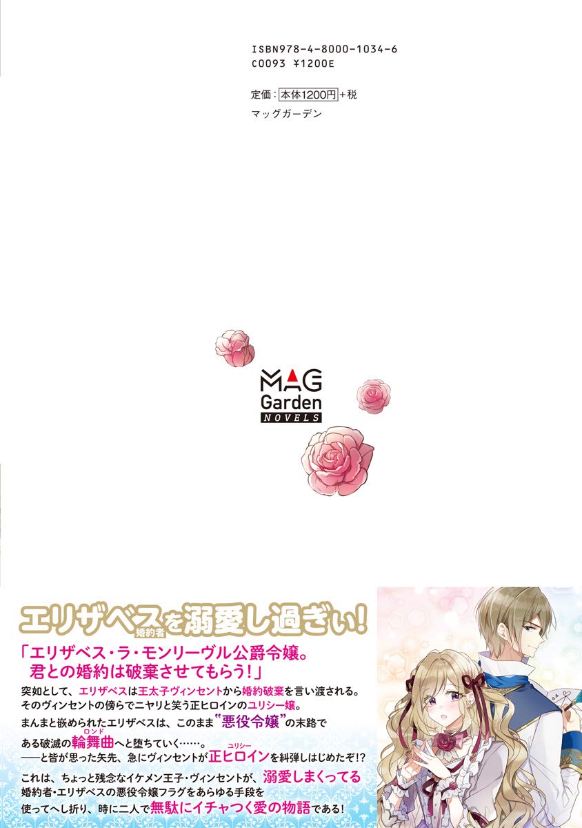 Amazon Fr ベタ惚れの婚約者が悪役令嬢にされそうなのでヒロイン側にはそれ相応の報いを受けてもらう マッグガーデン ノベルズ Livres