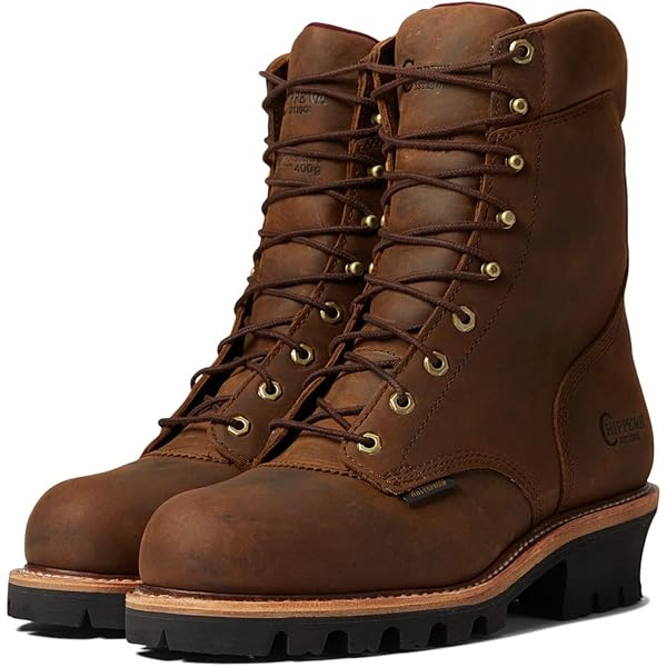 Amazon.com | Chippewa Men's Super DNA 9