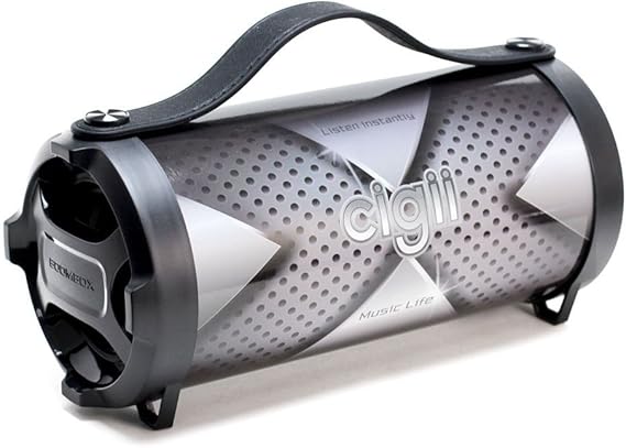 outdoor google speaker