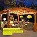 Brightech Ambience Pro LED String Lights - 48 Ft Commercial Grade Patio Lights Outdoor Waterproof - Heavy Duty Porch String Lights for Backyard, Christmas - Dimmable Vintage Edison 1W 15 Bulbs,