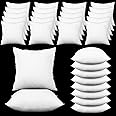 Amazon.com: Soaoo Set of 30 Fluffy Throw Pillows Insert Bulk 18x18 ...