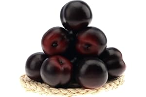 Gresorth 8pcs Artificial Realistic Brin Plum Fake Fruit Home Party Decoration Photography Props Model Simulation Lifelike Black Ornament