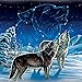 The Bradford Exchange Cynthie Fisher Wolf Art Dreamcatcher Wall Plaque Lights Up and Glows in The Dark