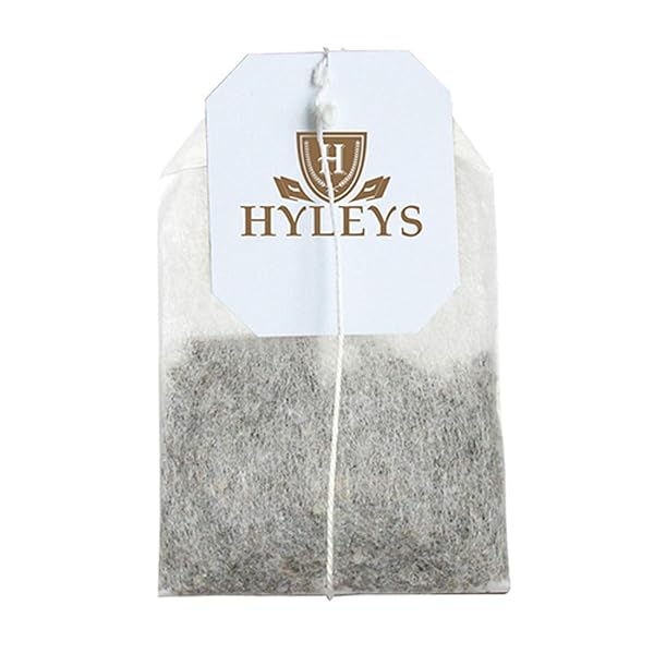 HYLEYS TURMERIC WITH GREEN TEA ASSORTED FLAVORS – ANTIOXIDANT-RICH HERBAL TEA VARIETY PACK – 42 TEA BAGS