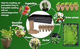 WY8 Seed Trays Starter Kit 100 Biodegradable Pots 3 Trays Crystal Lids view 6