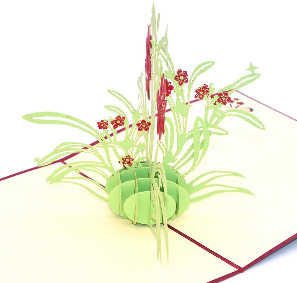 Cartes Medigy Carte Danniversaire Faite A Main 3d Pop Up Kirigami Creux Fleur Du Narcisse Pliable Carte Postale De Voeux Pour Anniversaire Mariage Saint Valentin Avec Enveloppe Cuisine Maison Groupisd Com