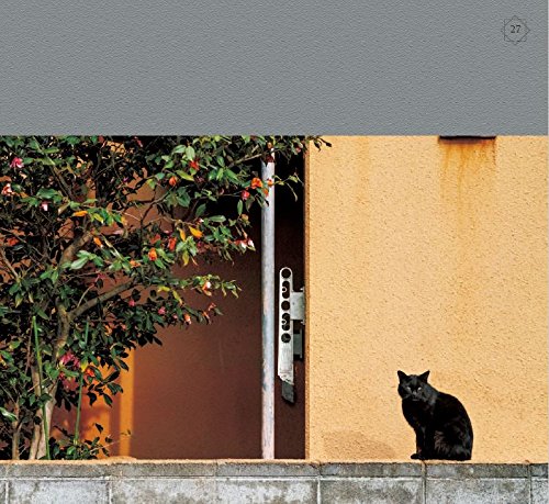 かべねこ 吉田 裕吏洋 本 通販 Amazon