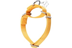 Dazzber Martingale Dog Collar, Escape-Proof and No Slip Design, Heavy-Duty Nylon with Metal Buckle, Adjustable for Small, Medium & Large Dogs, Colorfast for Training, Daily Walks (BrighYellow, M)