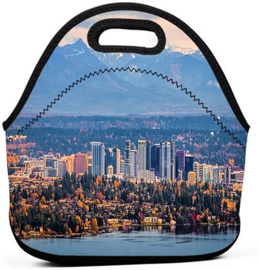 bellevue insulated lunch tote