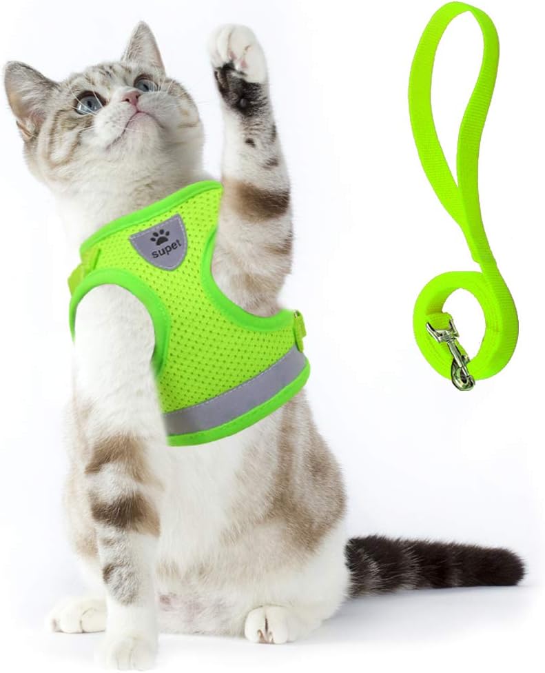 harness for overweight cat