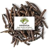 Grains of Selim Hwentia Spice Uda Diarr Xylopia Aethiopica Herb 4 oz