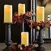 Eldnacele Flameless Flickering Pillar Candles, LED Battery Operted Candles with Remote and Timer, Set of 9(H 4