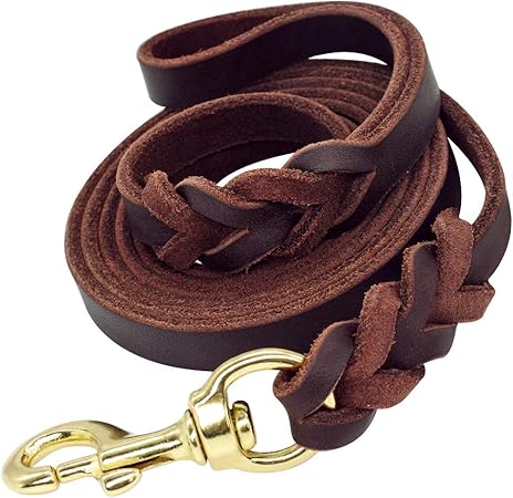 braided leather dog lead