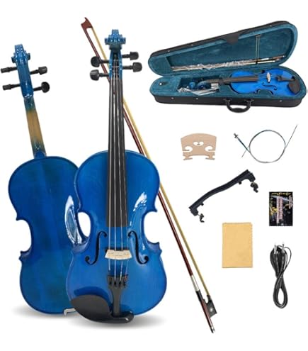 Amazon.com: Carlo giordano Electric violin EV202 (Black) : Musical