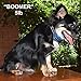 Our K9 Training Made Easy - Vibrating Dog Collar Using Sound & Vibration or Ultrasonic & Vibration. 100% Pain-Free - 100% Safe