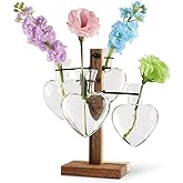 Plant Propagation Station with Acacia Wood Stand, 4 Heart-Shaped Propagation Vases for Plants, Unique Terrarium Kit for Office and Home Decor, Gifts for Plant Lovers