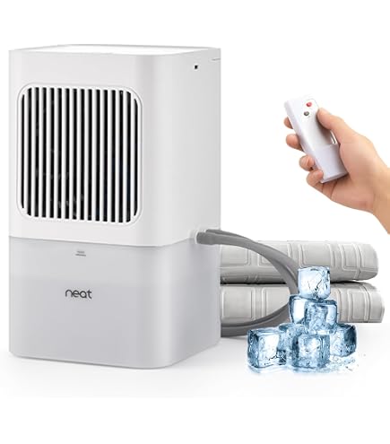 Amazon.com: JINEKU Electric Water-Cooled Mattress, Dual-core
