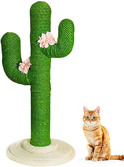 Amazon Com Beixiaofen Cat Climbing Frame Vertical Cat Jumping