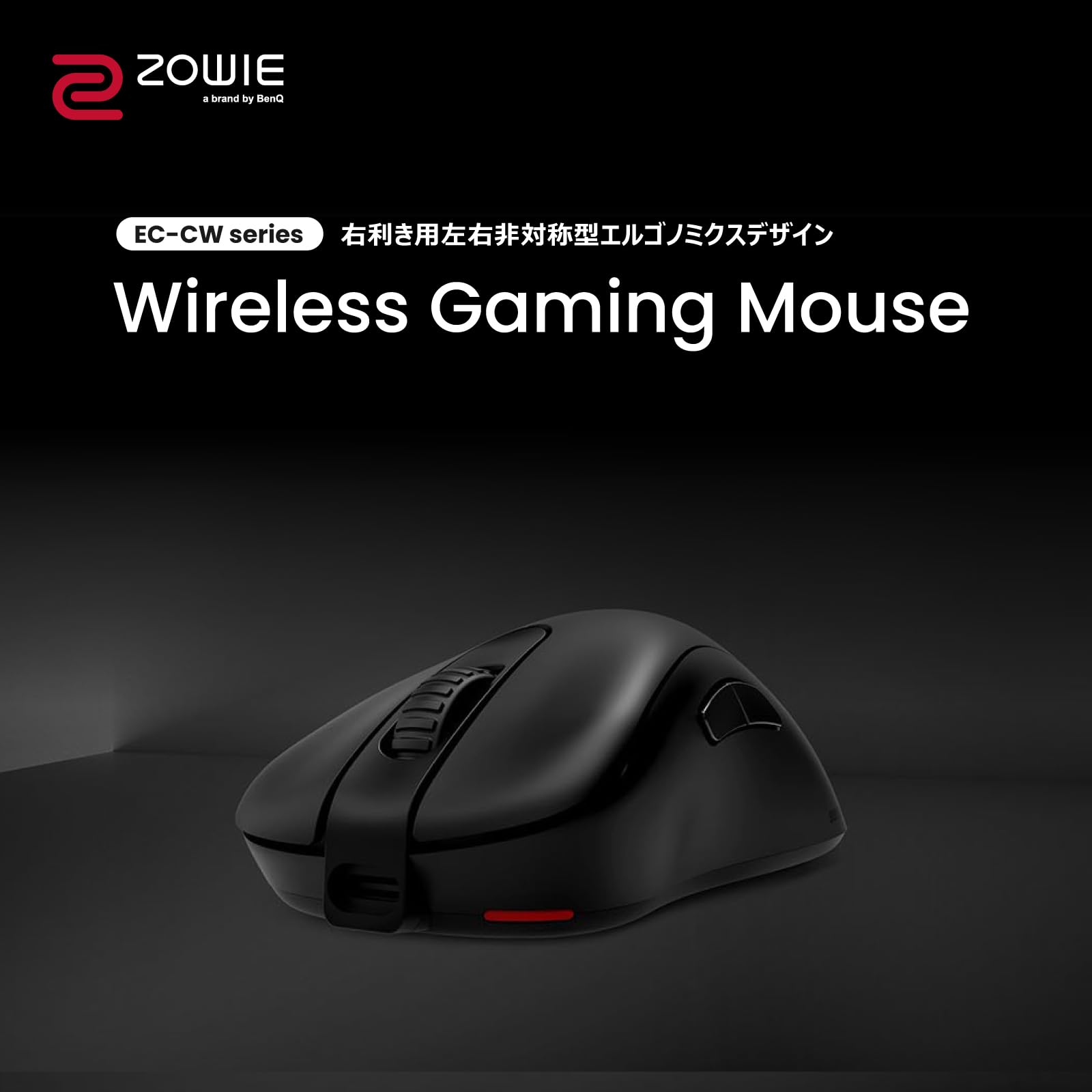 Mua BenQ ZOWIE EC2-CW ワイヤレスゲーミングマウス（左右非対称