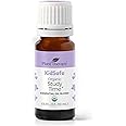 Plant Therapy KidSafe Organic Study Time Essential Oil Blend for Focus, Mind Calming, Concentration Blend for Kids 100% Pure, Undiluted, Natural Aromatherapy, Therapeutic Grade 10 mL (1/3 oz)