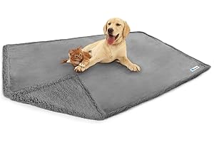 PetAmi Waterproof Dog Blanket for Bed, XL Dog Pet Blanket Couch Cover Protection, Sherpa Fleece Leakproof Bed Blanket for Crate Kennel Sofa Furniture Protector, Reversible Soft Plush 80x60 Light Gray