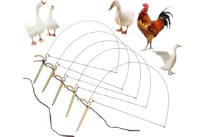 Professional Bird Trap Hunting Trap for Birds Bird Trap for Chicken, Pheasant,Wild Duck, Partridge Mallard and Other Birds Ty