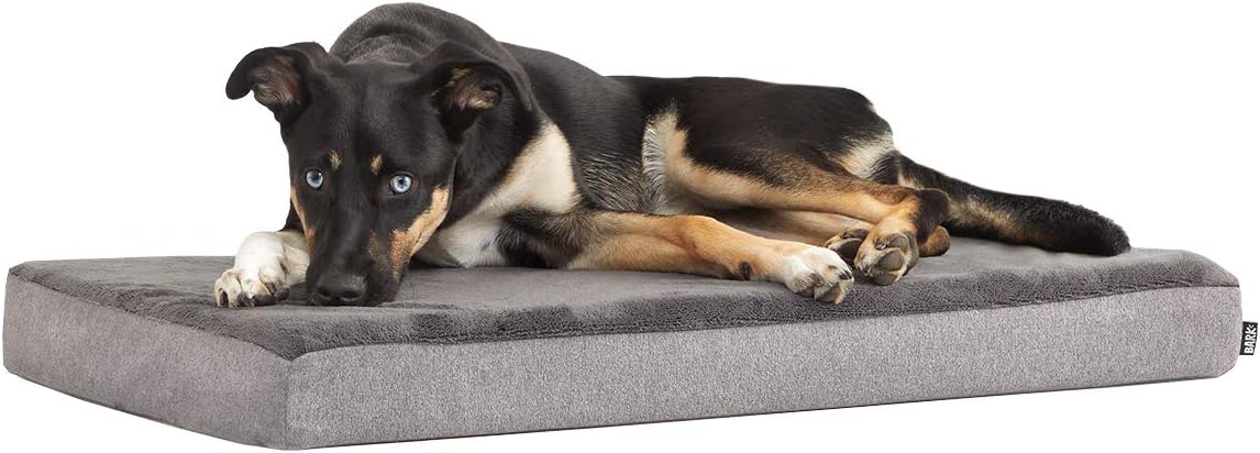 Barkbox Memory Foam Platform Dog Bed