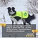 SafetyPUP XD Dog Reflective Vest – Hi-Vis Fluorescent Visibility That Helps to Safeguard Your Pet On/Off Leash in Urban & Rural Areas (Yellow, Medium)