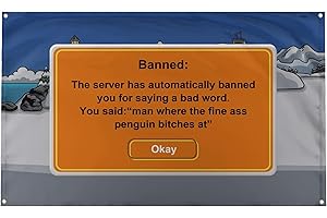 Banger Flags BANNED: This Server Has Automatically Banned You Saying A Bad Word, You Said: ''Man Where The Fine Ass Penguin es At'' College Dorm 3x5 Feet 4 Grommet Wall Flag Banner Tapestry Club