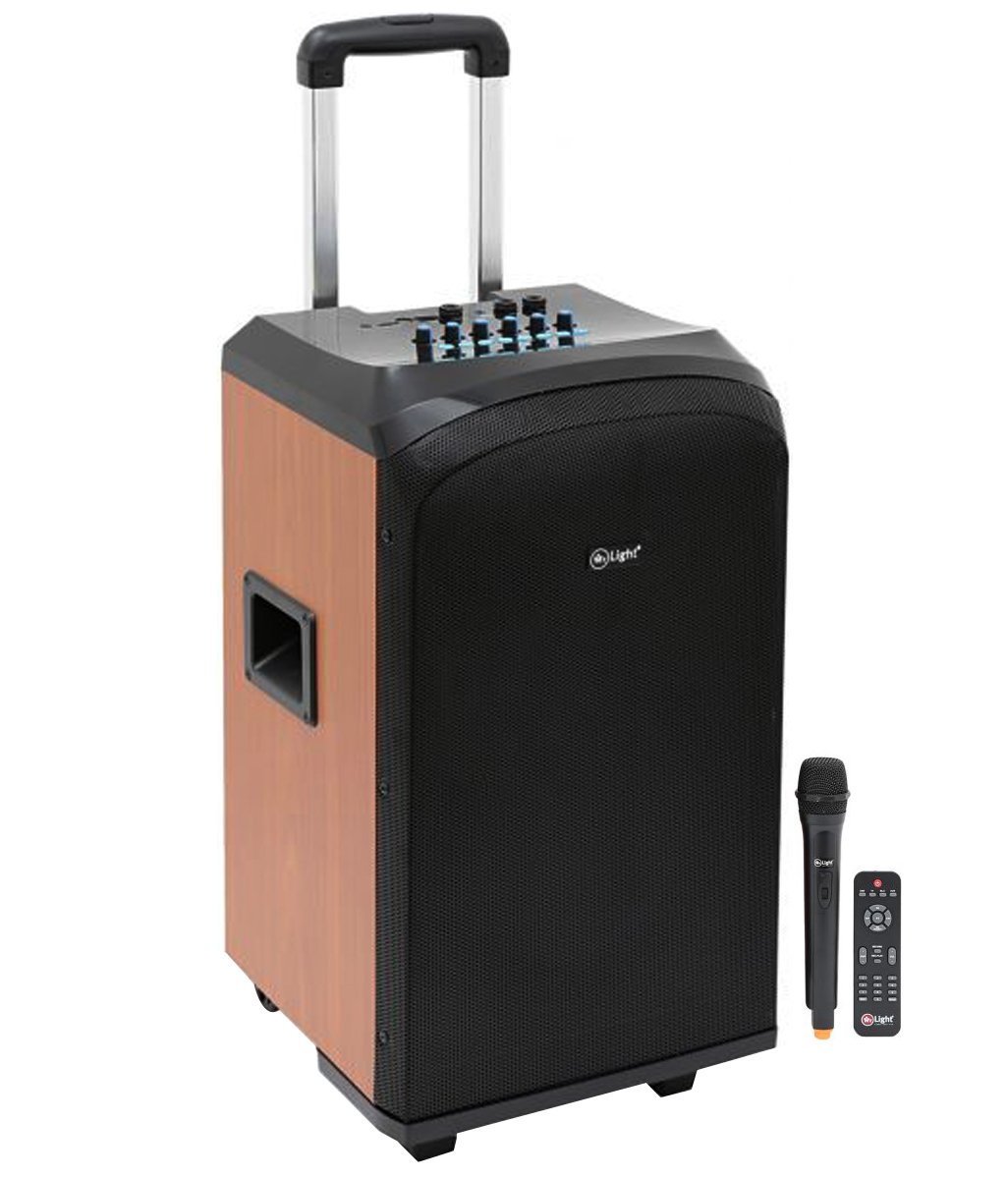 monster rockin roller bluetooth speaker