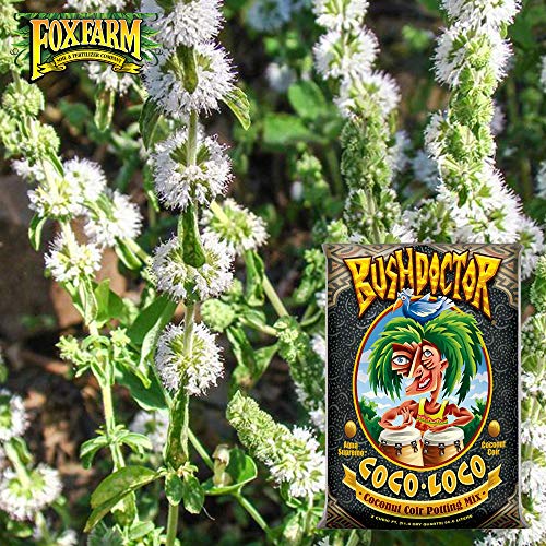 Fox Farm Bush Doctor Coco Loco Potting Soil, Coco Coir Soil Mix for