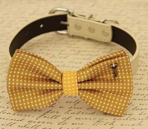 mustard yellow dog collar