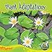 Rourke Educational Media Plant Adaptations (My Science Library)