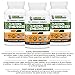 Pre Workout Pills, Energy Supplement, Helps Sustain Focus, Works with a Nitric Oxide Booster, All Natural Weight Loss Pills, Helps Fight Fatigue & Increase Muscular Endurance (Veggie Capsules)