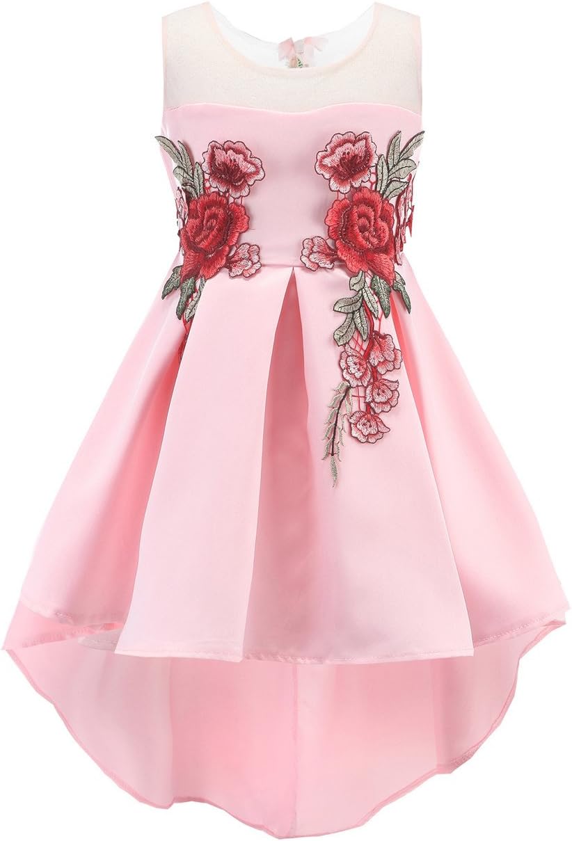 Rose Pink Ball Gown Tutus Dresses High Low Girl Dresses Big Girl Size 7-16 13 14 Cotton Pleated Skirt (Pink, 160)