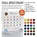 Bellofy 24-Color Oil Paint Set - 24 x 12 ml / 0.4 oz - Oil Paint Kit For Artists and Beginners - Painting Art - Artist Paint - Best Art Brand for Painting and Drawing Accessories Online.