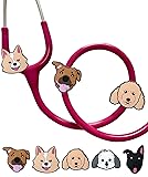 Plifal 5 Pieces Stethoscope Charm Tag for Nurse