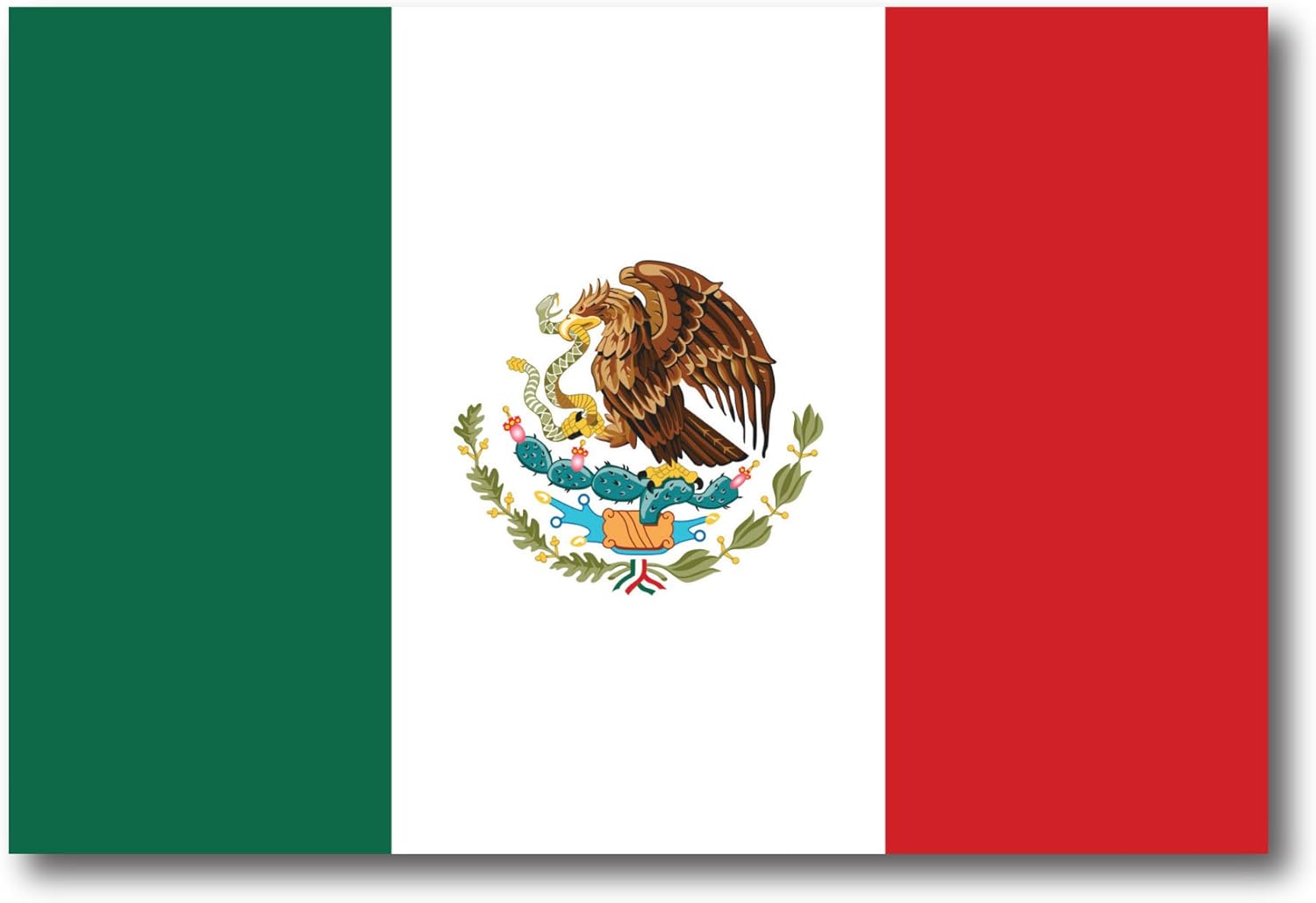 Amazon.com: Mexican Mexico Flag Car Magnet Decal - 4 x 6 Heavy Duty for Car  Truck SUV: Automotive