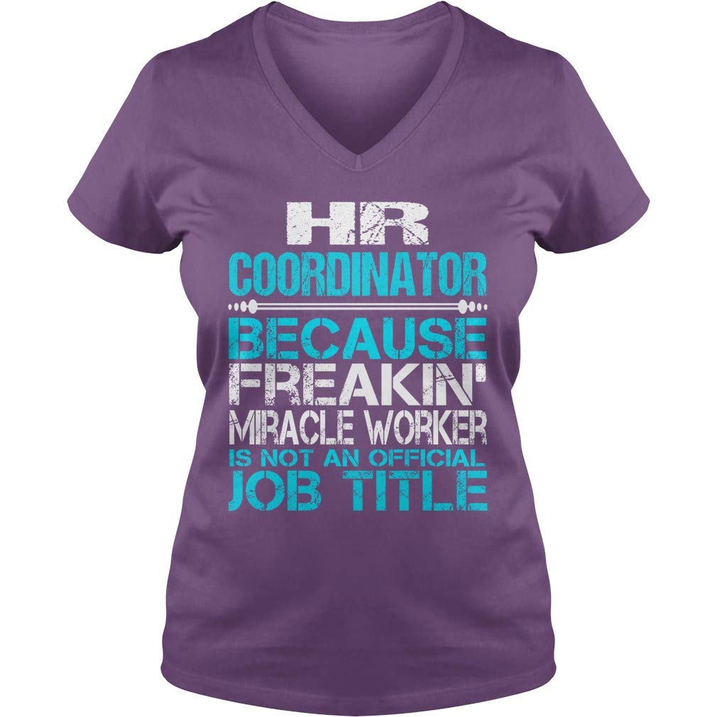 Hi-destee - Hr Coordinator Vneck - Nurse T Shirt - Nurse T Shirts For - Vintage Nurse Shir