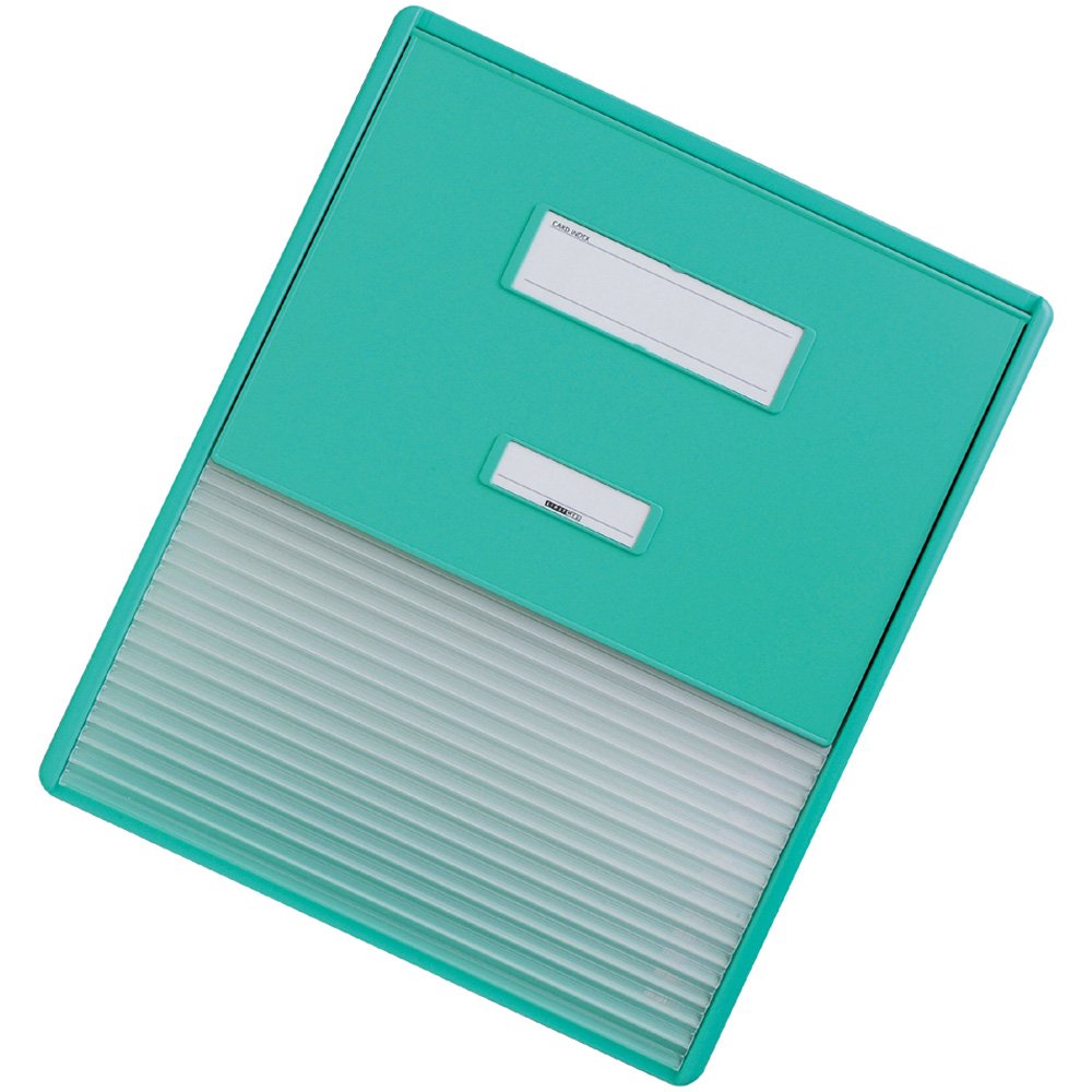 楽天 リヒトラブ カラーカードインデックス Hc114c 3 グリーン B005gdwiqa A3 縦2面 16ポケット グリーン グリーン A3 縦2面 16ポケット 格安即決 Haileethiopiatours Com